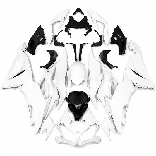 Kawasaki Ninja ZX-6R Complete Fairing Kit (2019–2022)