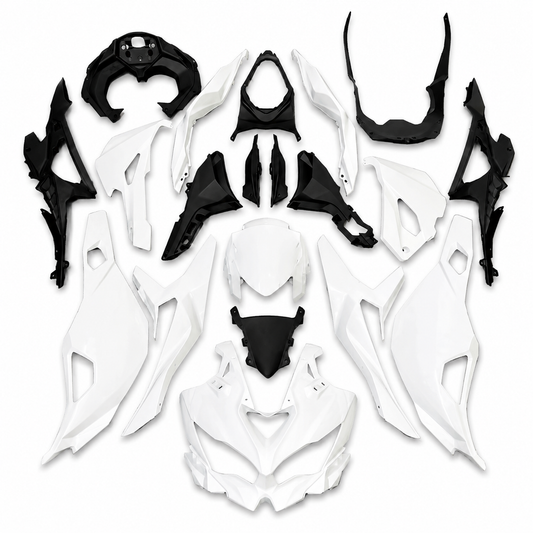 Kawasaki Ninja ZX-4R Complete Fairing Kit (2019–2026)